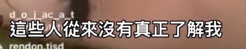 豆荚猫红色造型秀场,豆荚猫秀场图片