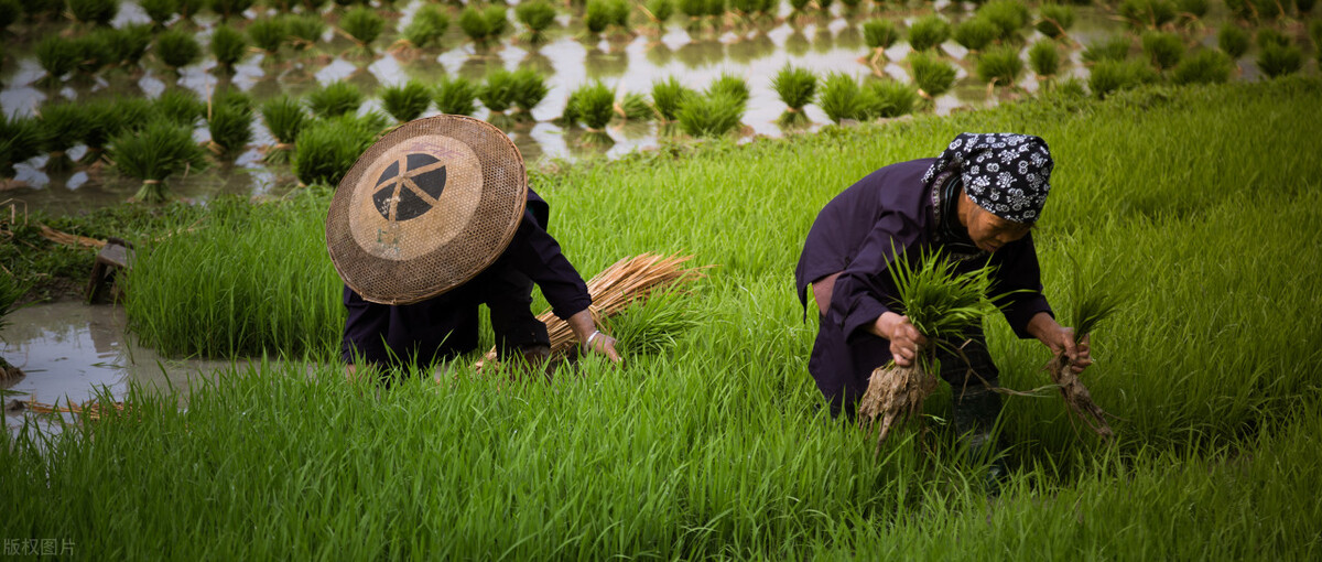 现在是家长太矫情还是孩子太娇气,女人不分年龄娇气且矫情让人烦