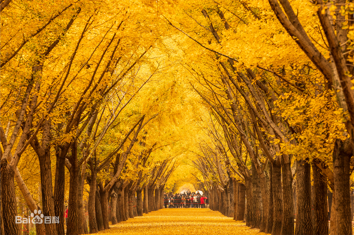 苏北第一县是邳州还是沭阳,苏北第一县是哪个县