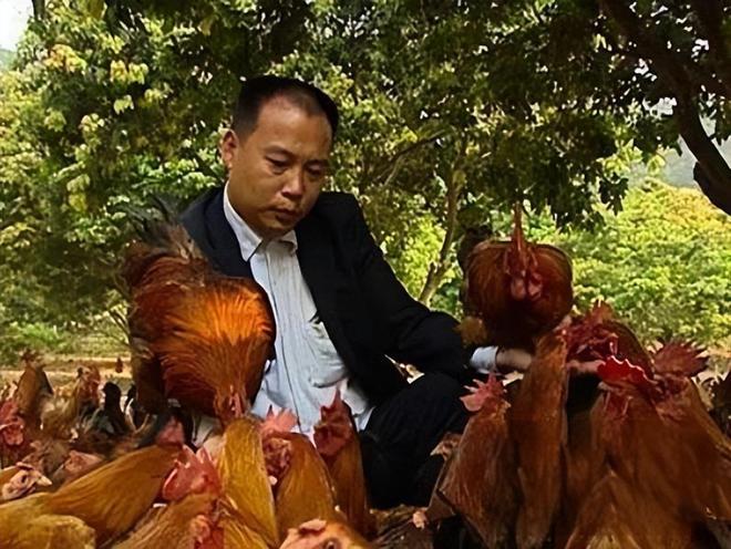 湖南小伙承包5000地只养十只鸡,农民大哥承包500亩土地养了10只鸡