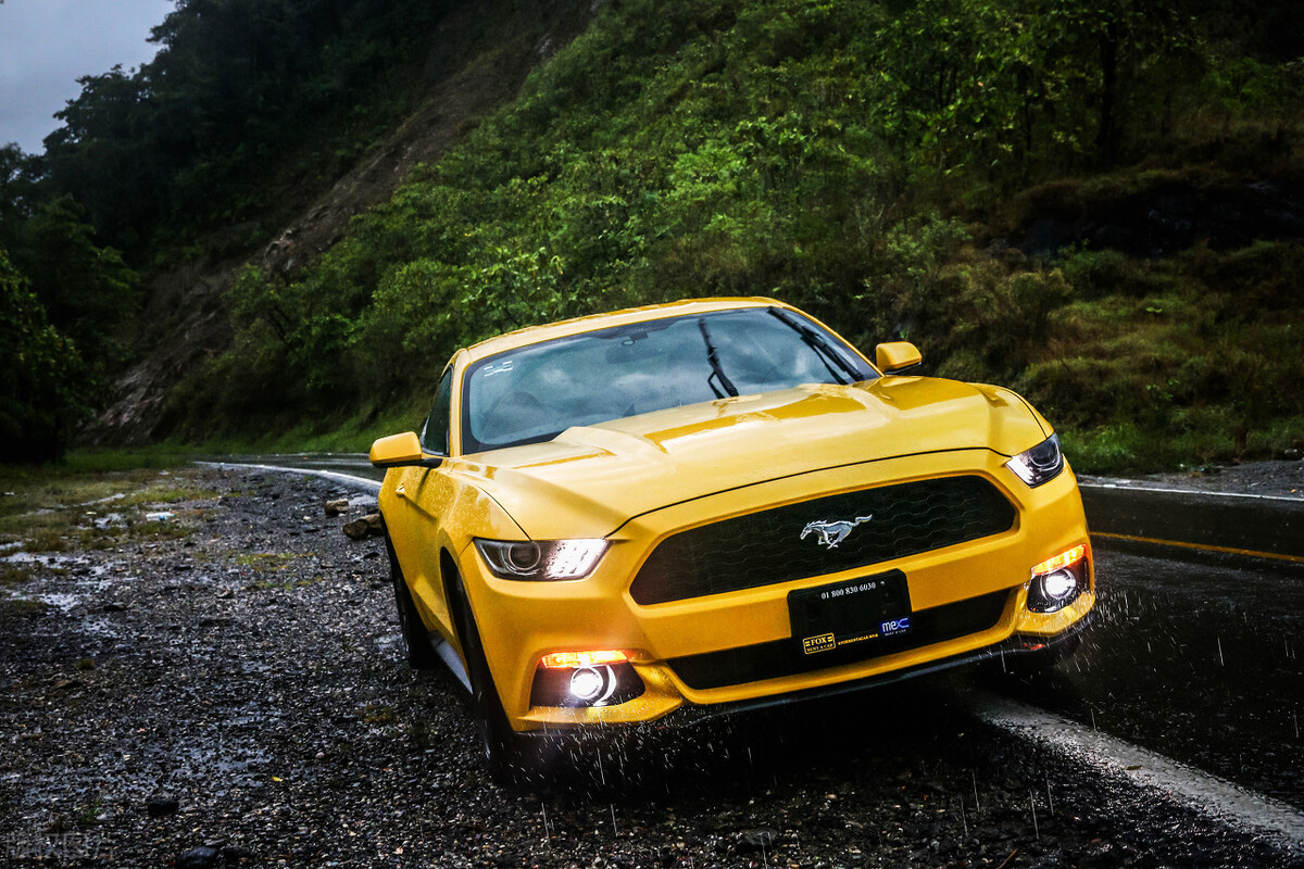 奇奇怪怪系列的知识,奇奇怪怪的知识又增加了什么