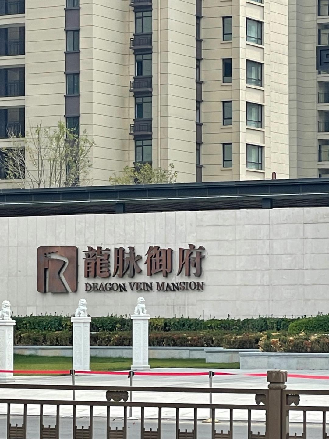 董董骑行山东,懂懂骑山东