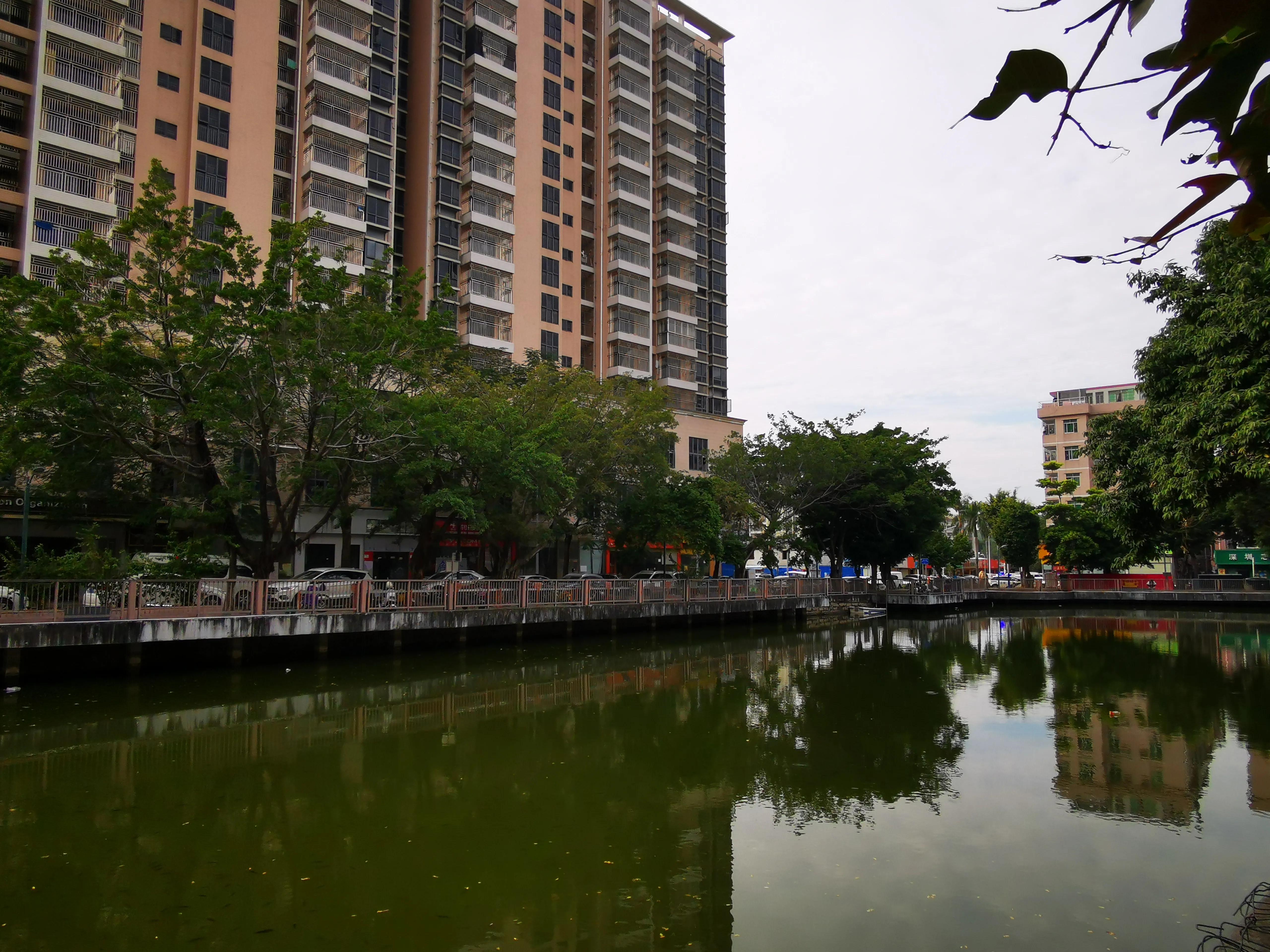 深圳塘朗村最新拆迁消息,深圳城中村真实视频