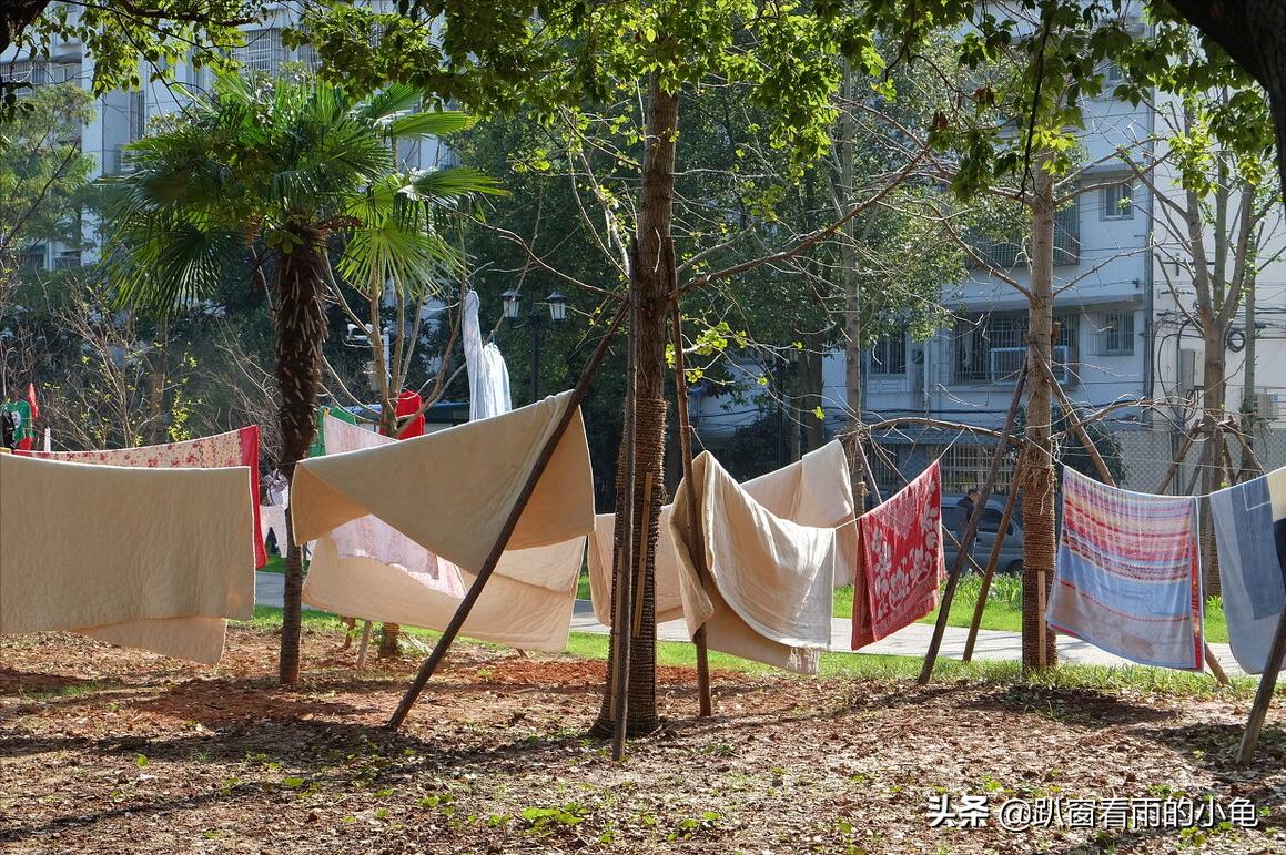 六月初六节日快乐,农历6月初六什么节