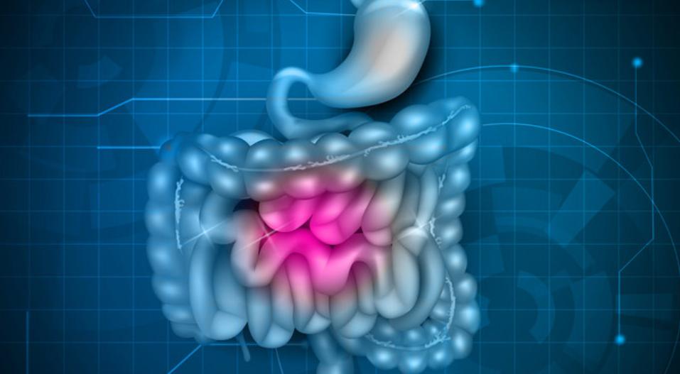 益生菌的简单入门指南,婴幼儿益生菌应用指南