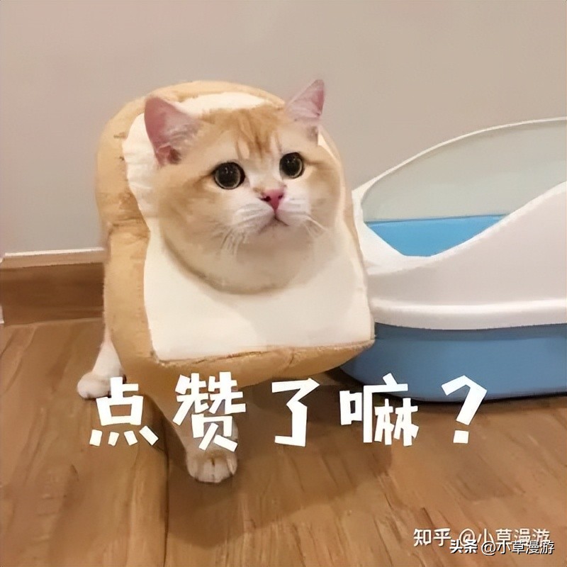 杭州五日游自由行攻略最佳路线,杭州自由行经典路线推荐