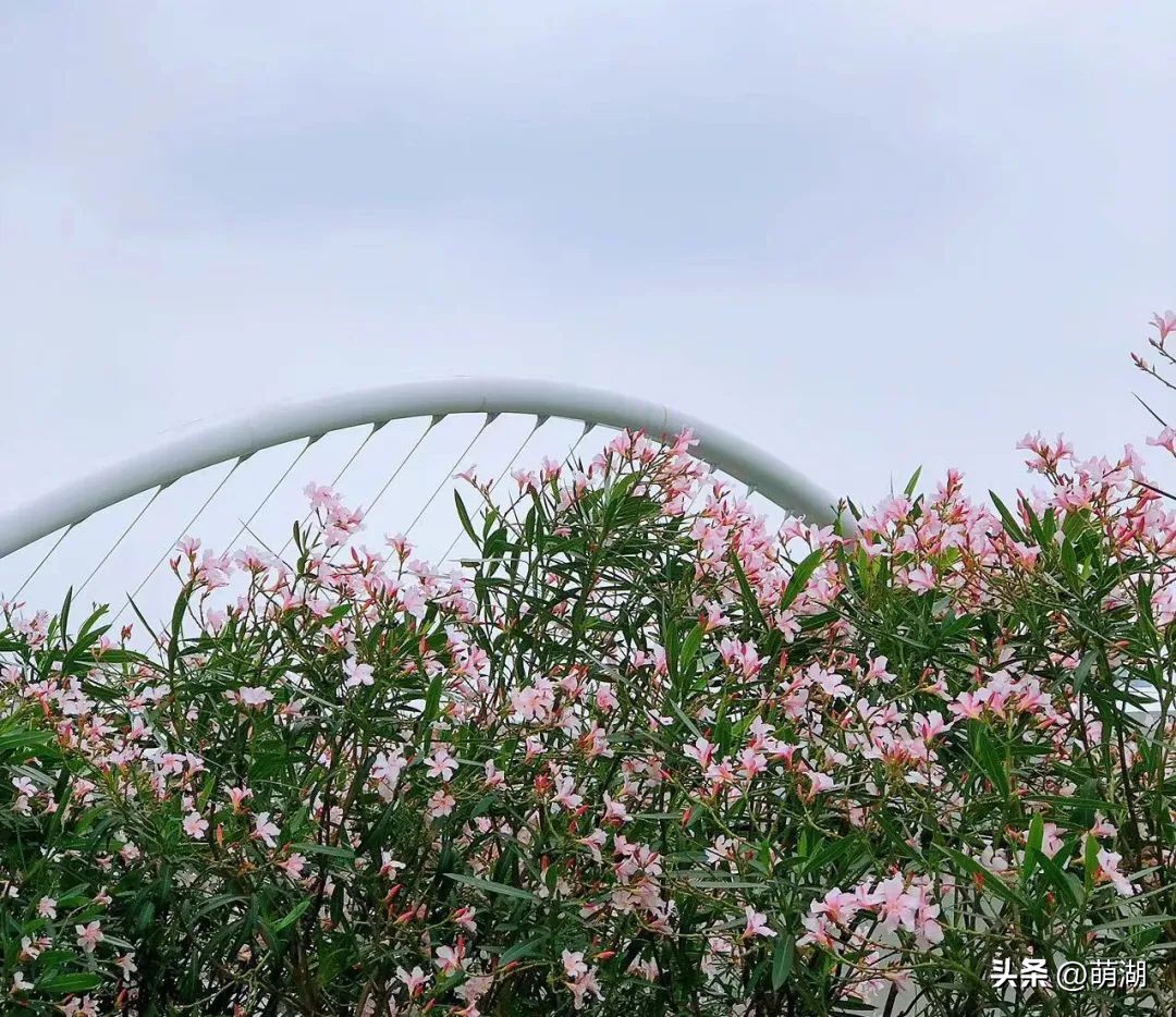 夏天去广州旅游攻略一天,广州旅游攻略一天一夜自由行