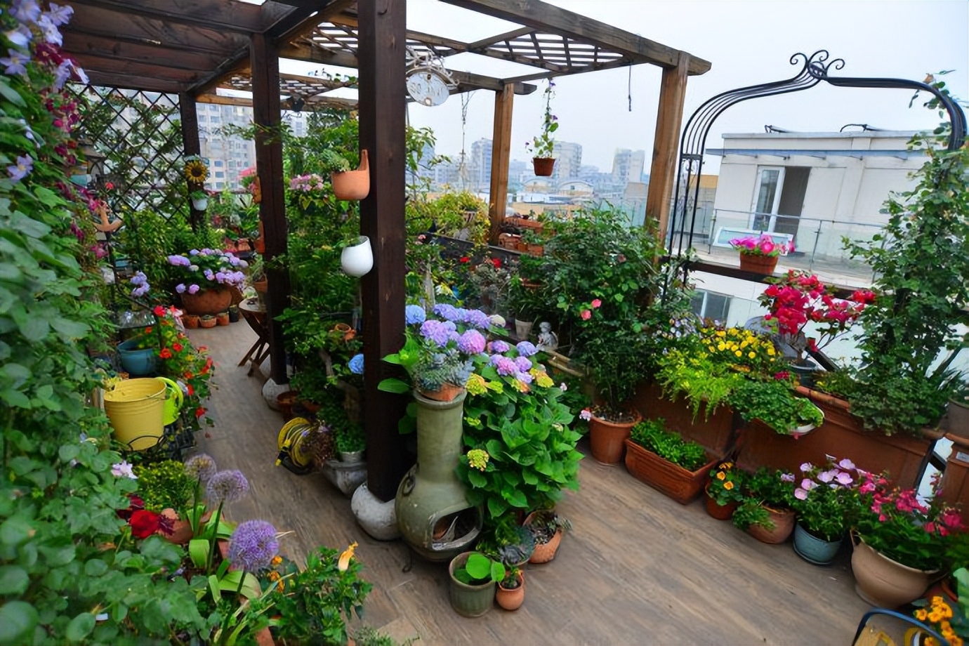 夏天养3种花，必须“心狠手辣”！风吹日晒多淋雨，呼呼开爆花！