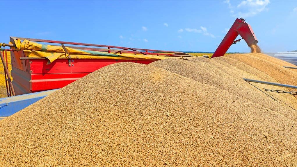 美国农业粮食产量与中国对比,美国粮食和中国粮食亩产