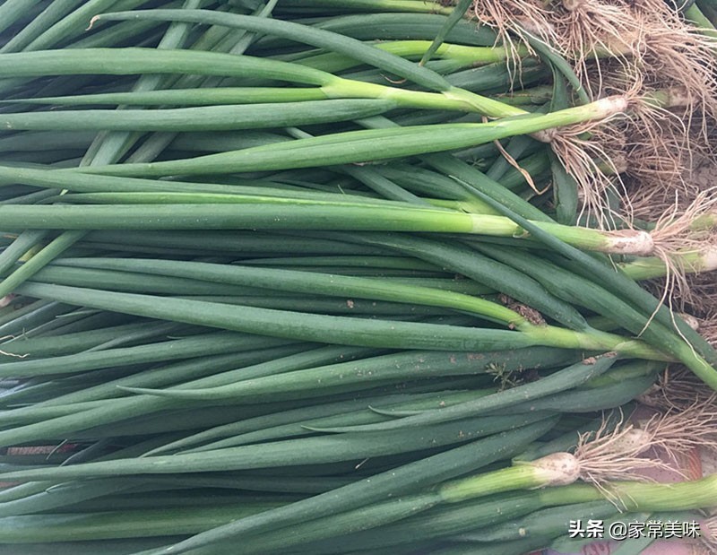 四季葱和小葱哪个好,买大葱时怎样区别好坏