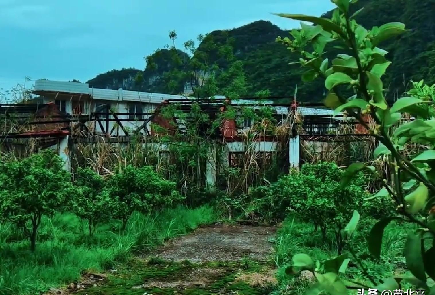 广西鹿寨县英山,鹿寨县中渡镇英山柴油机厂