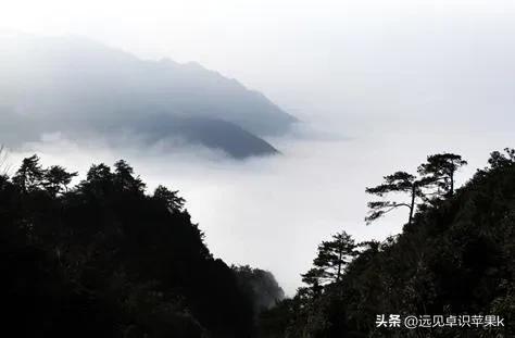 我，嫁初恋，夫妻深圳创业，如今他赚钱养家，我在带娃并貌美如花