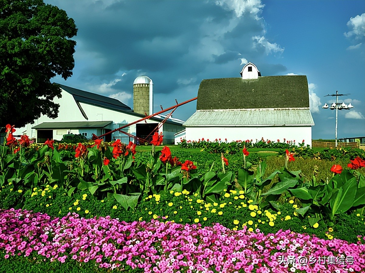 美国夏日梦幻农场：以大丽花为主题的鲜花园艺农场，如梦如画！