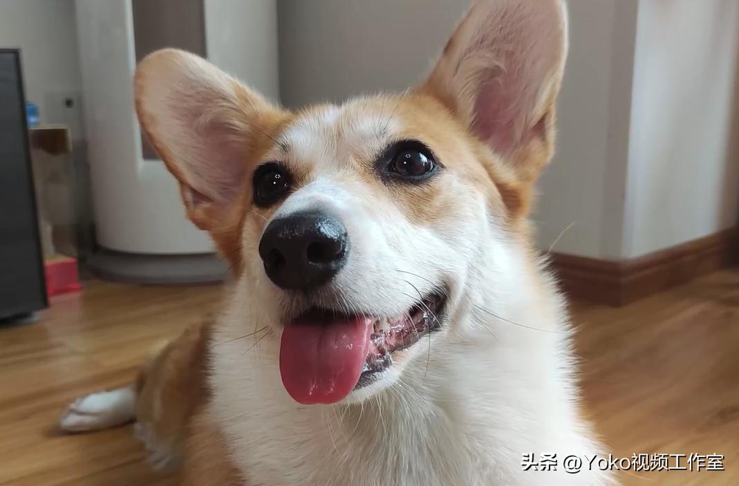 电脑的误区有哪些,对电脑认识的五个误区