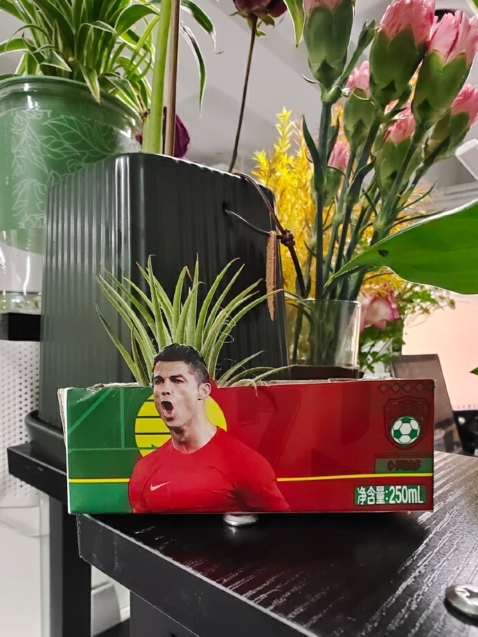 世界杯那些球迷都在喊什么,世界杯90分钟进了几球