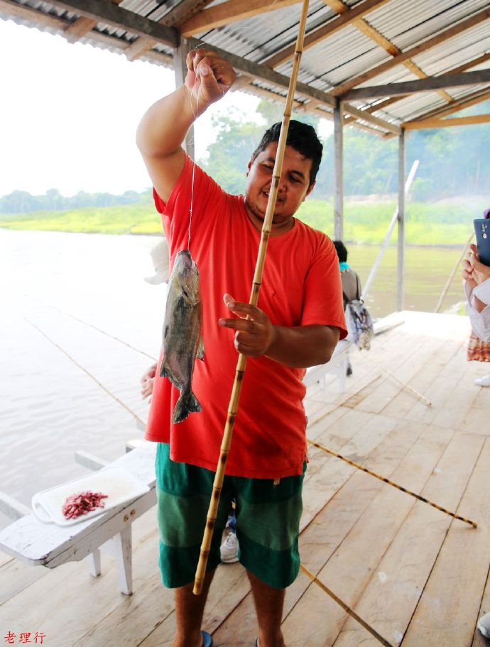 南美四国之旅,巴西亚马逊之行