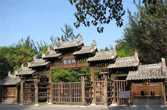 张艺谋点赞山东武校学生,被张艺谋夸的人