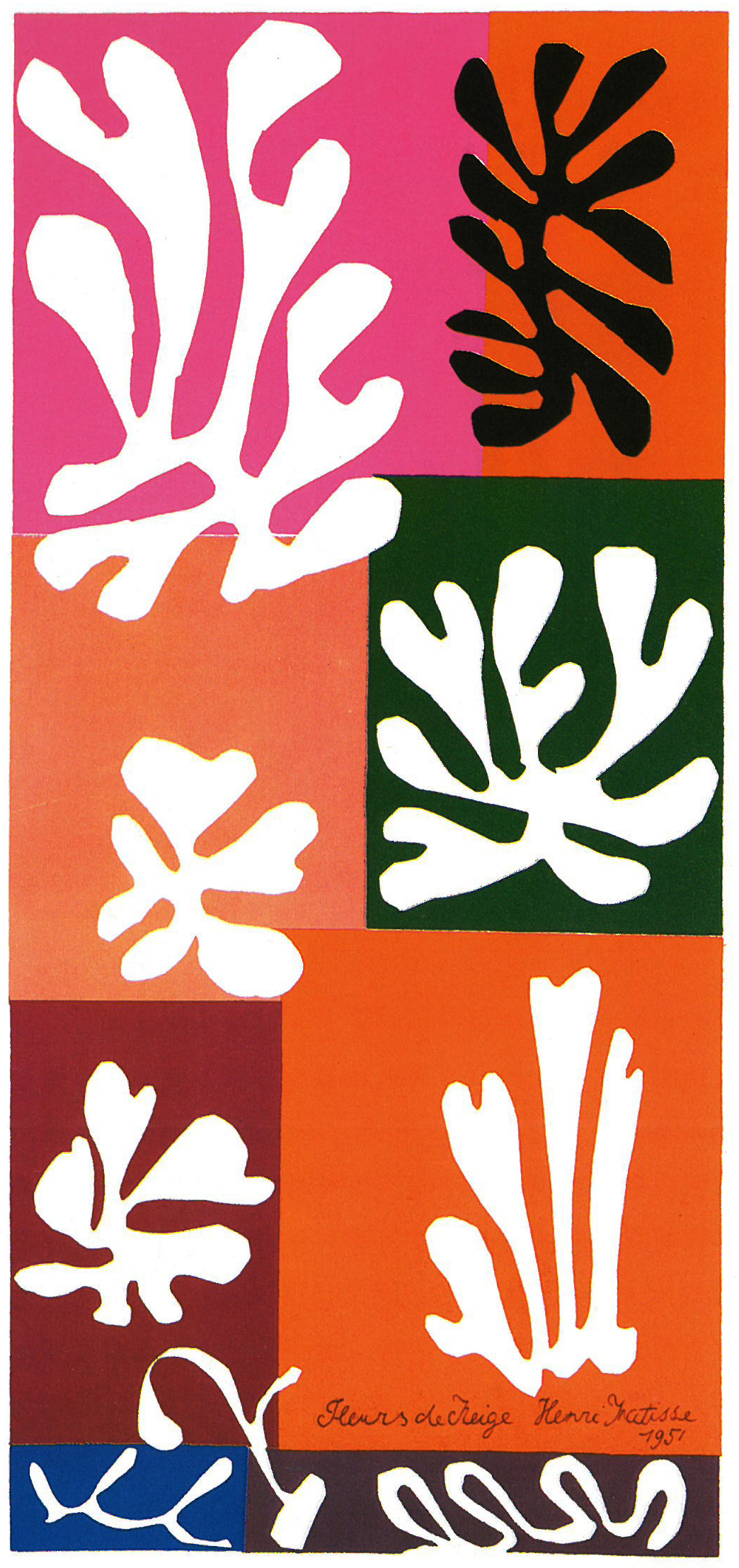 怎么画亨利马蒂斯这个人,亨利马蒂斯剪纸