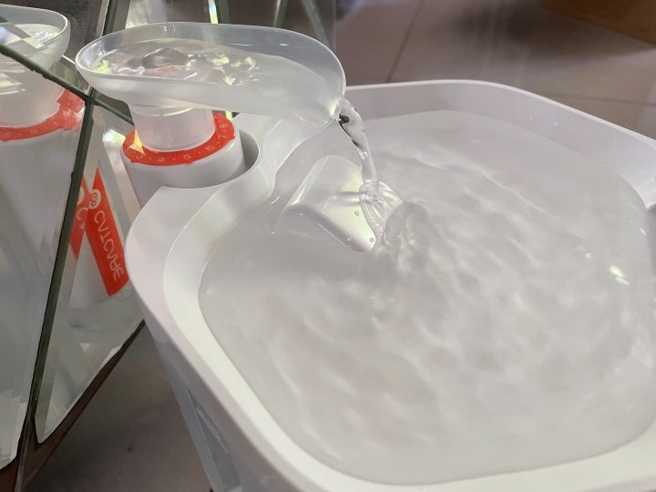 饮水机属于智商税么,猫咪喝水自动饮水机是智商税吗