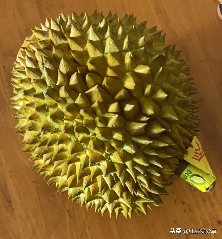 股市冰火两重天指标,股市期市冰火两重天