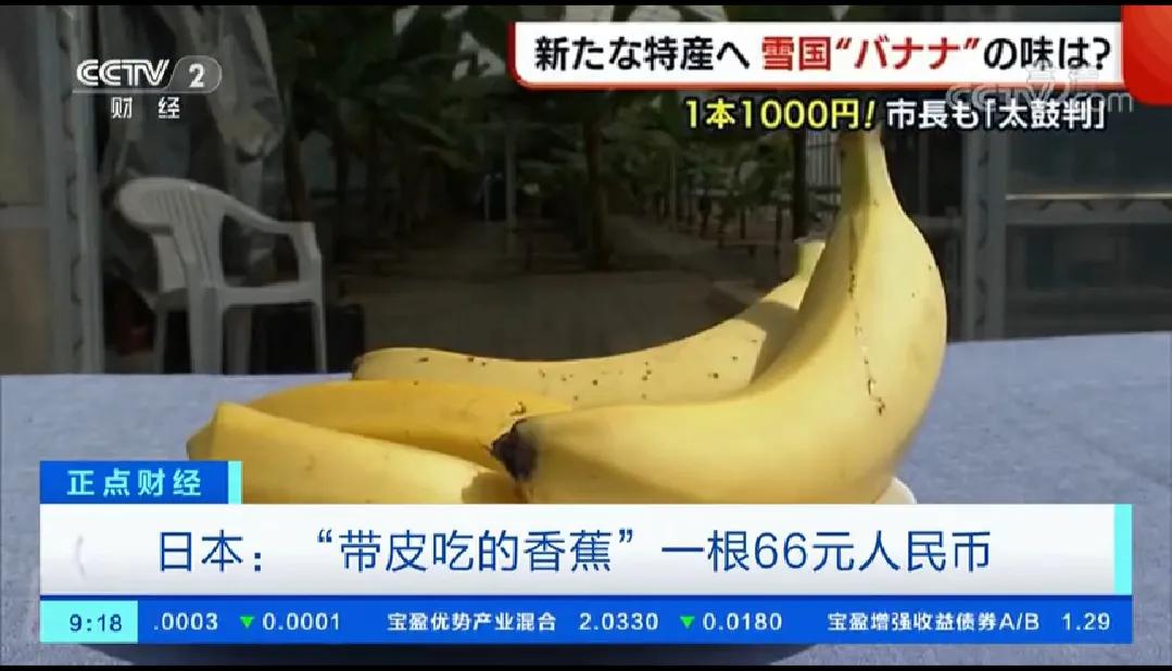 香蕉皮能不能吃,什么香蕉要煮来吃