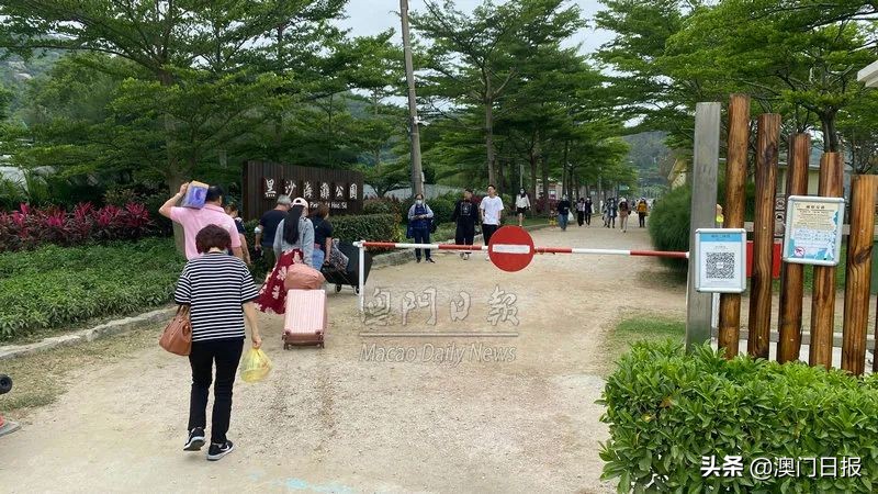 黑沙滩假期人气盛