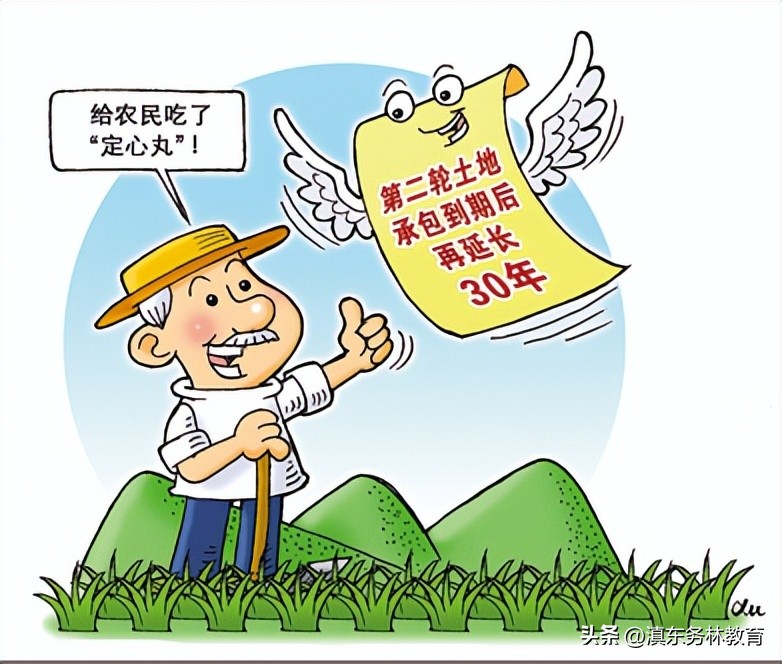 林地承包到期后地上林木如何处理,林地承包经营权到期后怎么办