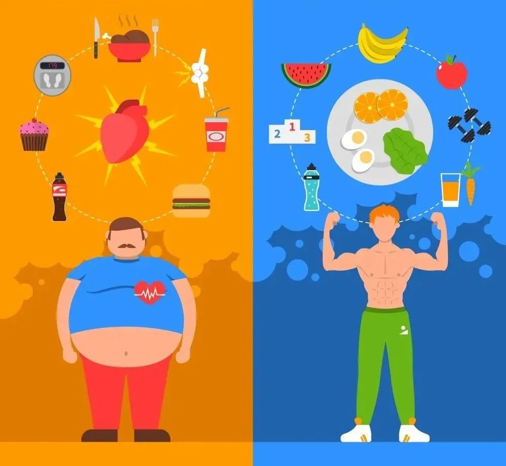 怎么合理饮食才能控制血脂,如何调理血脂才能让血脂下降