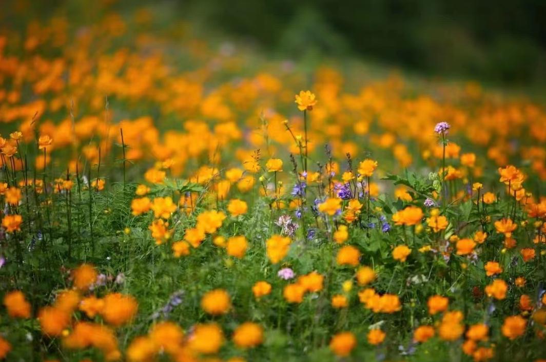 打工40年的人不敢创业,70后无钱创业怎么样