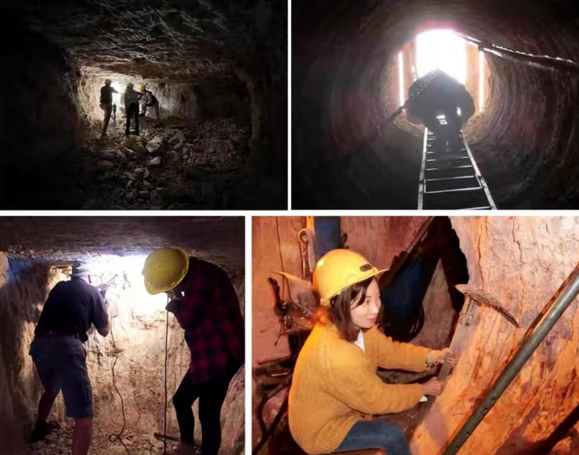 海淘市场发展前景分析,海淘发展趋势