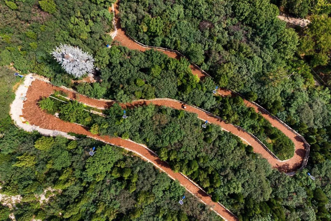 济南体验泉城天然氧吧,济南天然氧免费景点