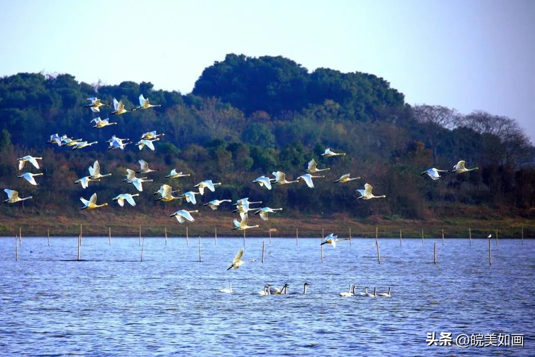 合肥最美湖河,合肥有哪些免费的湖泊景区