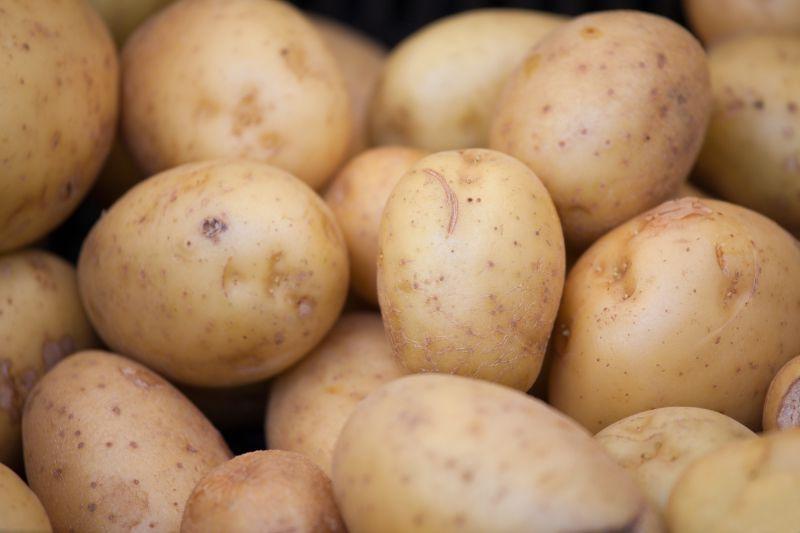 腿无力、使不上劲，是咋回事？或是缺了3种营养素，要学会补