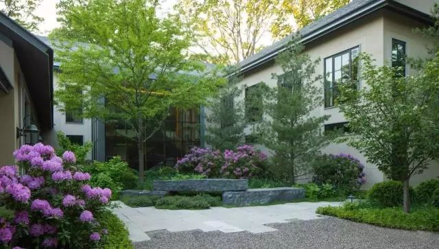 大山里捡回来的石头,大山里的石头块