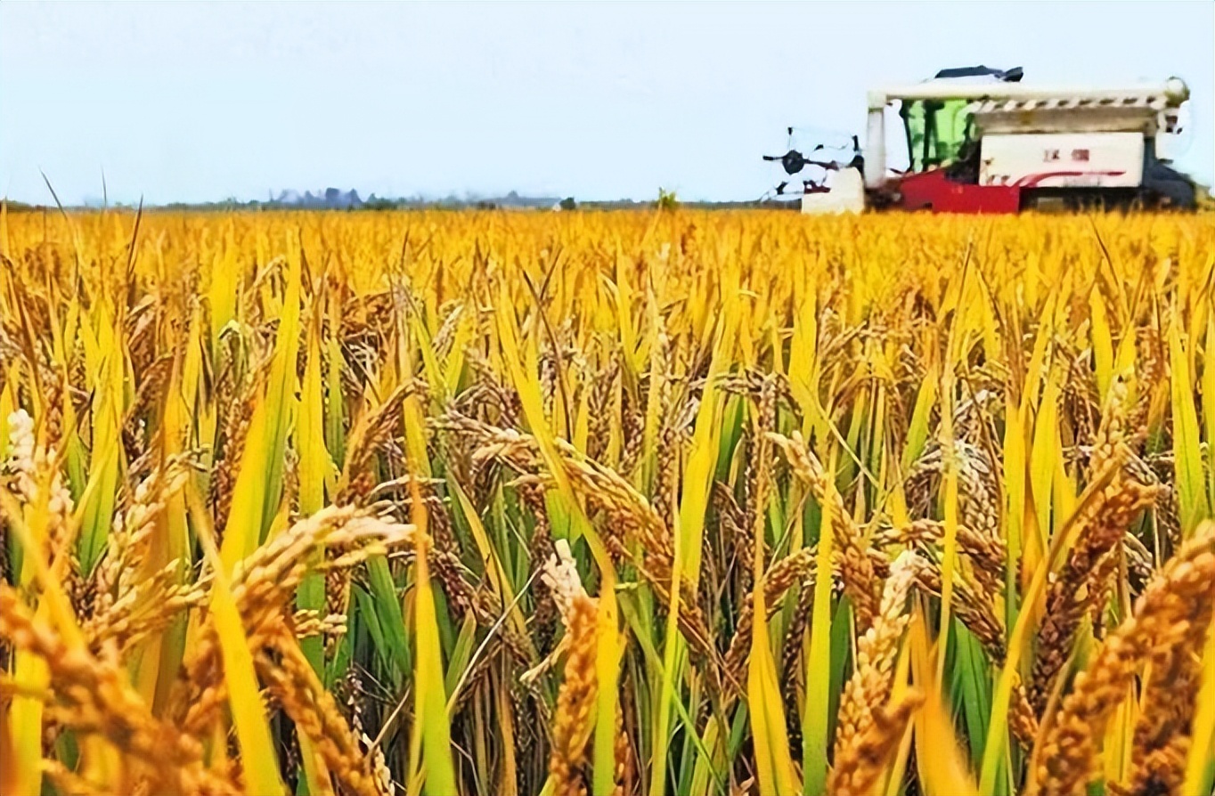 2023年吉林省发放地力补贴了吗,黑龙江省地力补贴2023年发放时间