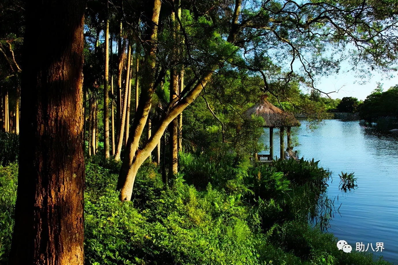 厦门大学嘉庚学院嘉庚精神,厦门大学嘉庚学院中华传统文化