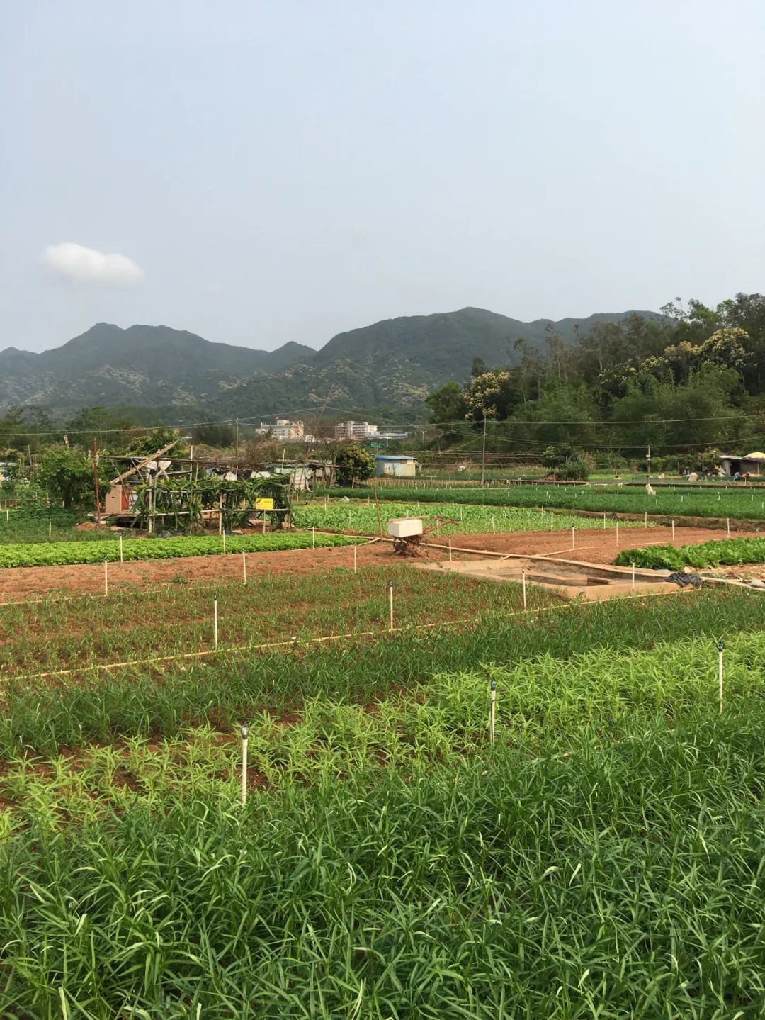 旭光车行雅迪电动车,旭光单车