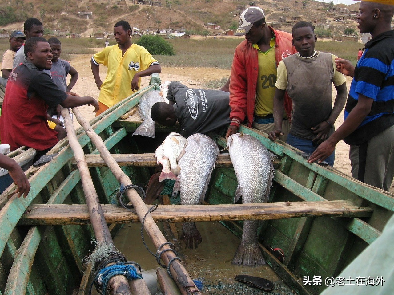 中国人在安哥拉现状如何,中国人在安哥拉现状怎么样