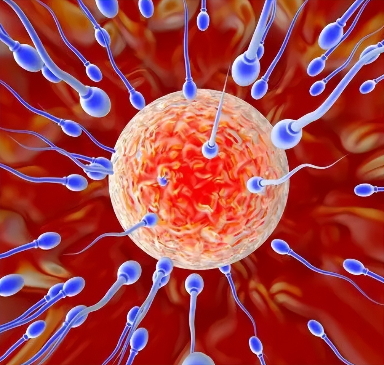 你知道女性的阴道有多长吗?或许与你所想,完全不同!