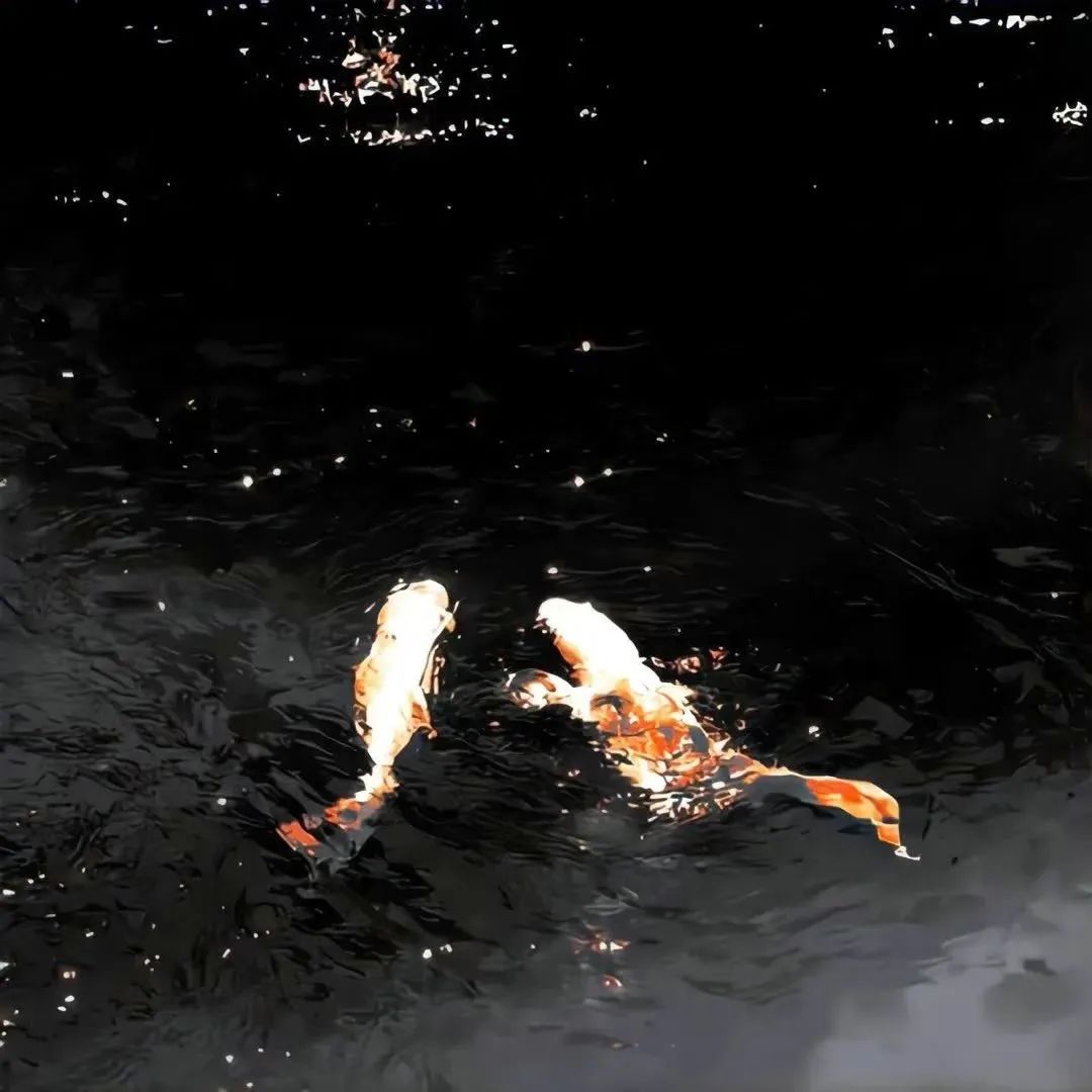 三观正人品好的文案,三观很正的文案励志