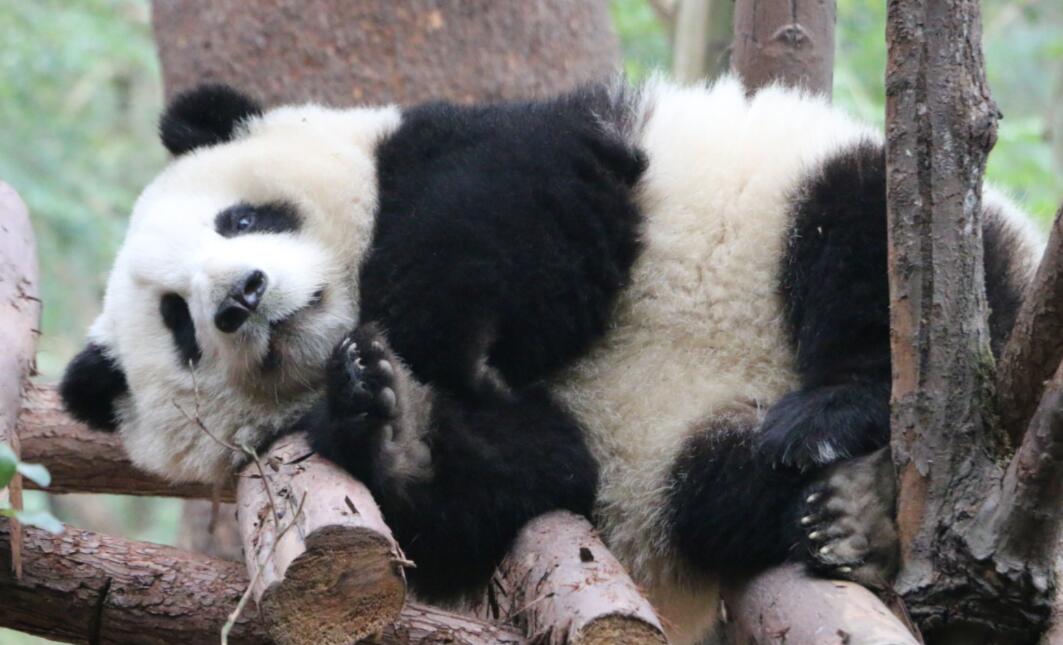 推书君第212期：2023年3月女频新书（3）