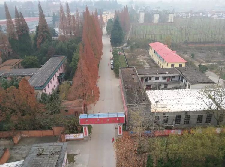 汉中最大三线厂汉江工具厂,汉中城固三线故事