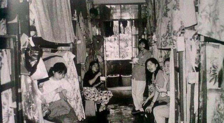 “*人用成品**”销量暴增,女性竟成购买主力军,这背后有何原因?