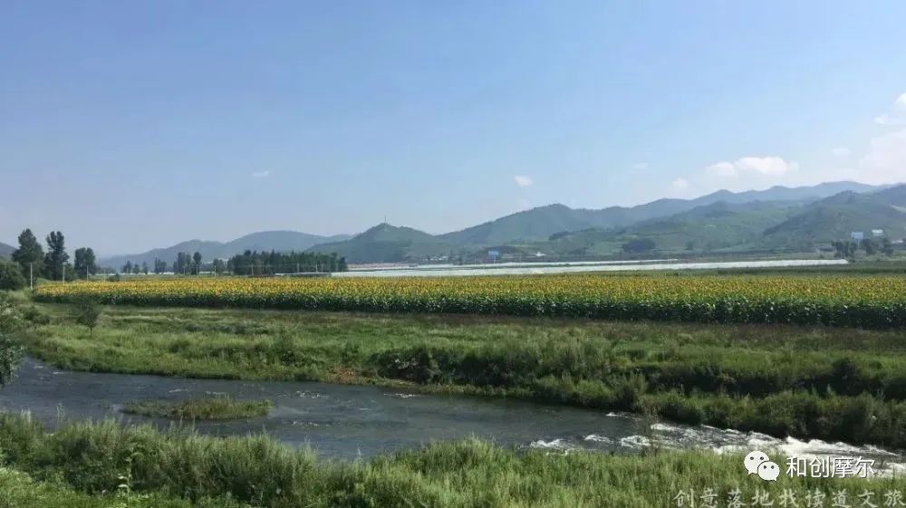 积极探索村集体经济发展模式,探索农村集体经济联合社模式