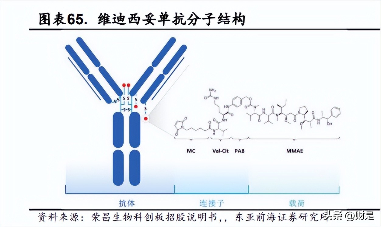 荣昌生物三期临床新药,荣昌生物2021新进展