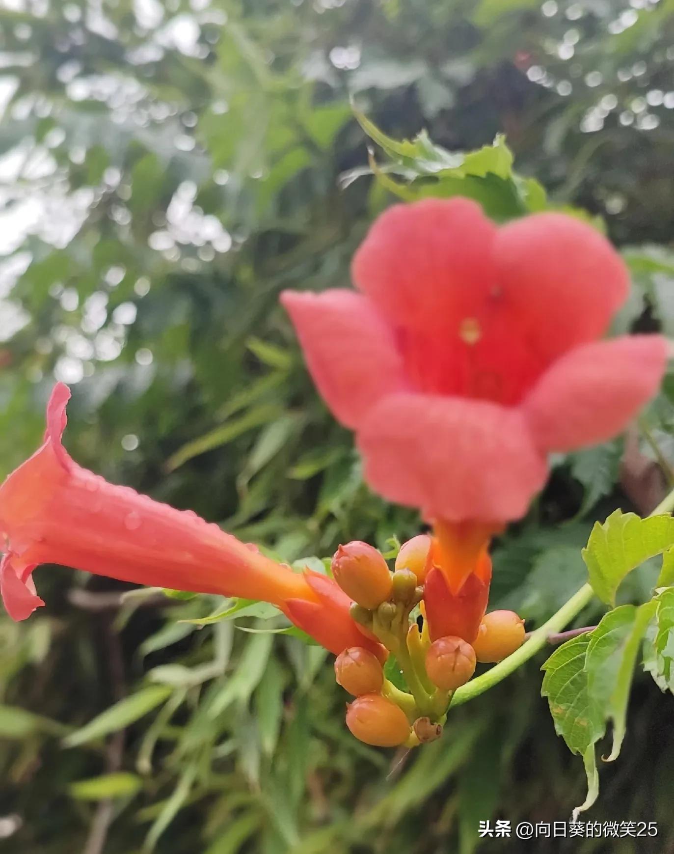 痛心！她为什么要讳疾忌医？！