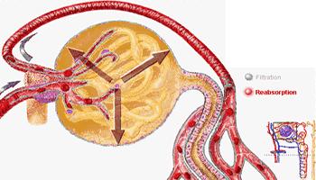 吃达格列净口渴容易饿,吃达格列净感觉口渴