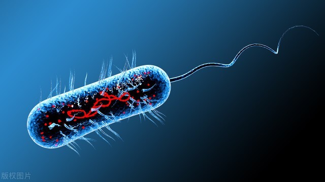 生物的一切都起源于什么,大量的事实说明生物是由什么组成