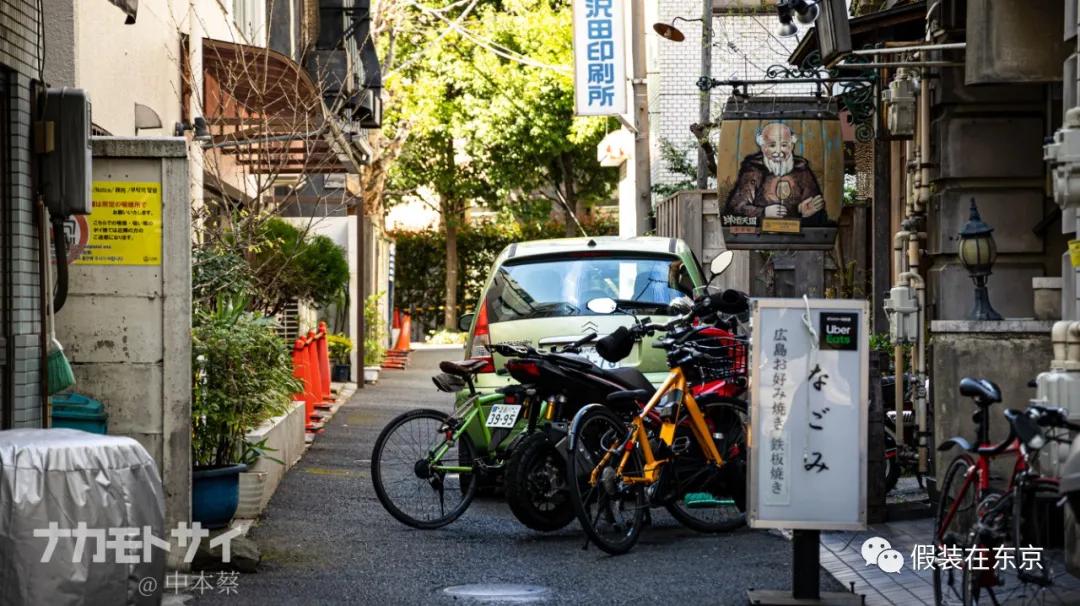 365张照片回顾,365张相片