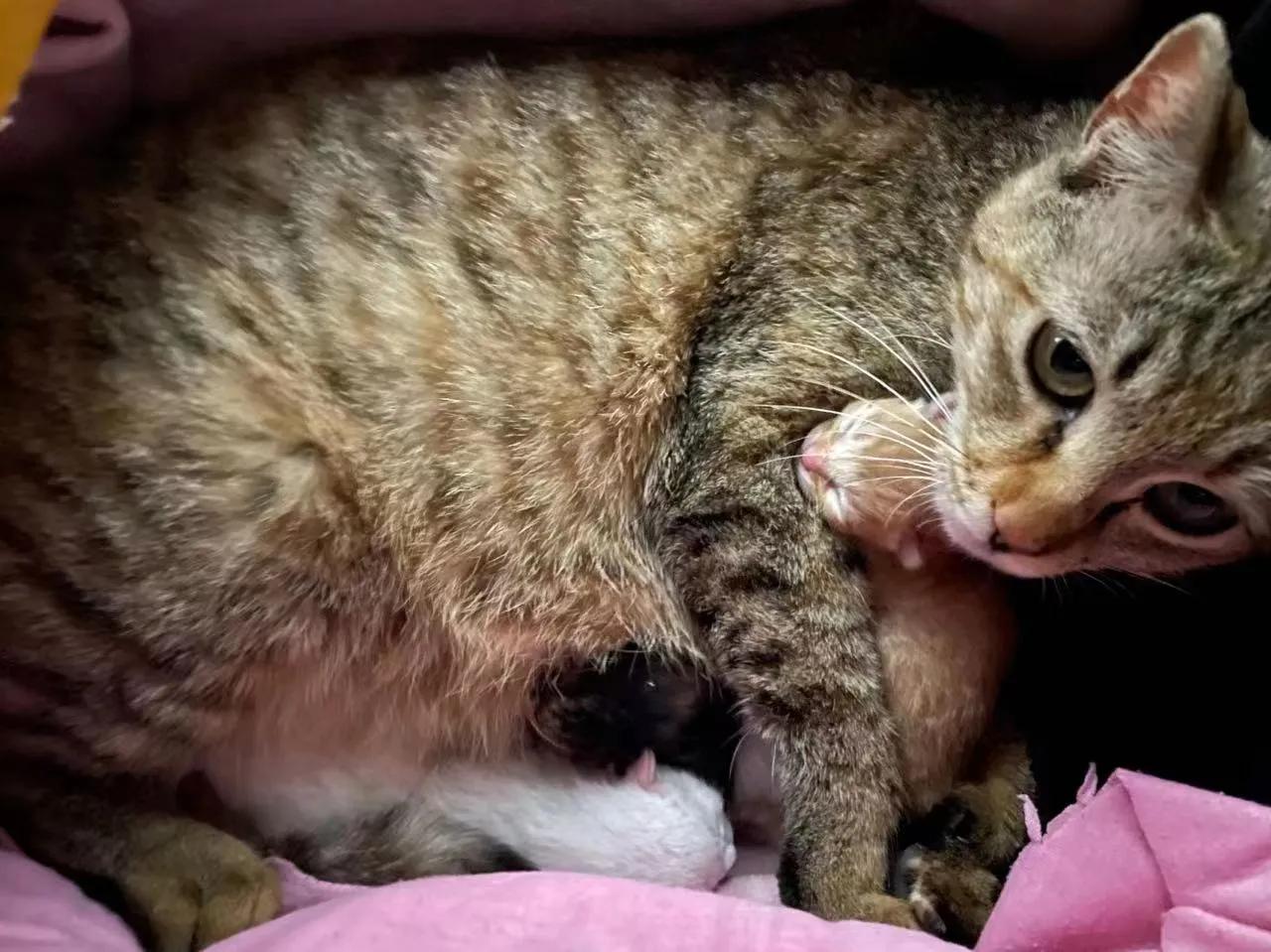 静态管理第五天,长春市静态管理时间